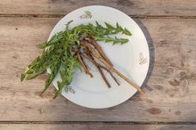 How to Take Dandelion Root When Doing a Bodybuilding Contest