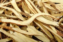 Side Effects of Deglycyrrhizinated Licorice