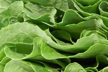 Does Magnesium Help Dissolve Gallstones?