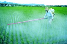 How to Use Malathion on Vegetables