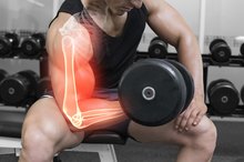 How Do Muscles Move the Body's Skeleton?
