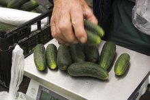 The Nutrition of Seedless Baby Cucumbers