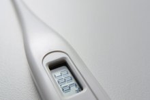 The Effect of High Temperatures on Enzymes
