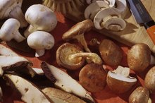 What Is the Doug Kaufmann Phase One Diet?