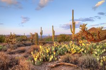 What Is the Best Climate for Fibromyalgia?