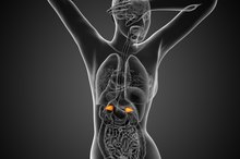Pregnenolone Deficiency Symptoms