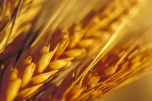 The Side Effects of Folic Acid Intolerance