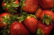 Omega 3 in Berries