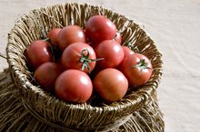 Calories in a Cheese & Tomato Sandwich