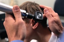 Parts of the Brain Involved With Hearing