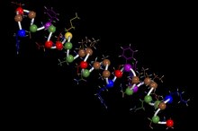 What Are the Benefits of Peptides?