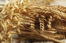 Raw Food Diet and Oats