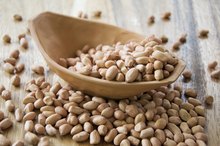 Nuts & Their Negative Effects