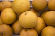 Calories in a Large Asian Pear