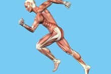 What Are the Functions of Peptides?