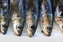 Sardine Allergies