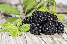 List of Foods Containing Pectin