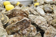What Foods Have Zinc and Cobalt in Them?