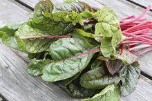 Green Leafy Vegetables High in Potassium