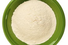 Wheat Protein Isolate vs. Whey