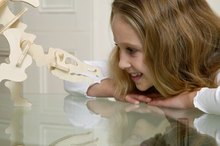 Paleontology Camps for Kids
