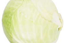 Cabbage Allergy