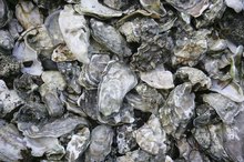 Natural Source of Calcium Carbonate