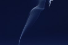 The Effects of Nicotine on Males