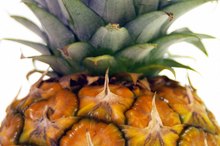 Pineapple for Headache