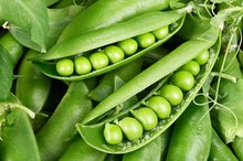 Pea Pod Nutrition