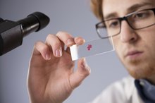 What Is the Most Abundant Electrolyte Found in Blood Plasma?