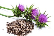 Herbal Treatment for Liver Cirrhosis