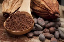 Raw Cacao Nutrition Information