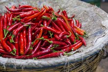 Capsaicin for Neuropathy