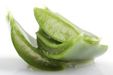Aloe Juice & Kidney Stones