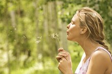 What Are Dandelion & Burdock?