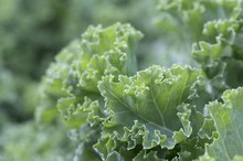 How Much Lutein Should One Take?