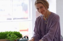 Herbs to Shrink Colon Polyps