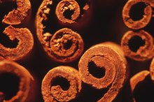 What Are the Benefits of Chewing on Cinnamon Sticks?
