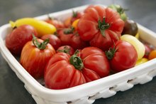 Foods to Help the Hypothalamus