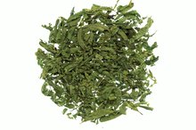 Stevia & the Candida Diet