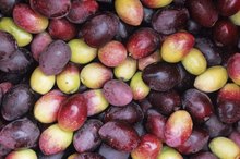 What Vitamins & Minerals Do Olives Have?