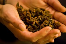 Herbs with Massage & Exercise to Stimulate Breast Growth