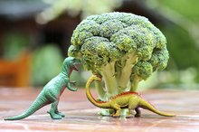 Nutrition for Children With Low Muscle Tone