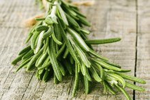 Herbs For Eliminating Body Odor