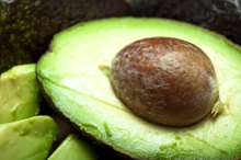 What Role Does Fat Serve in Your Body?