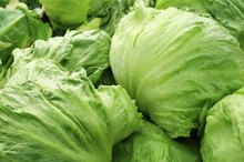 Vitamins in Iceberg Lettuce