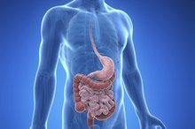 Blocked Duodenum Symptoms