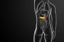 High Levels of Alkaline Phosphatase & Pancreatitis