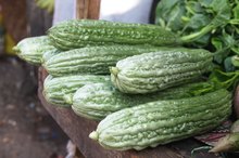 Filipino Vegetables & Their Benefits